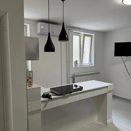 Alexandar13 Belgrade