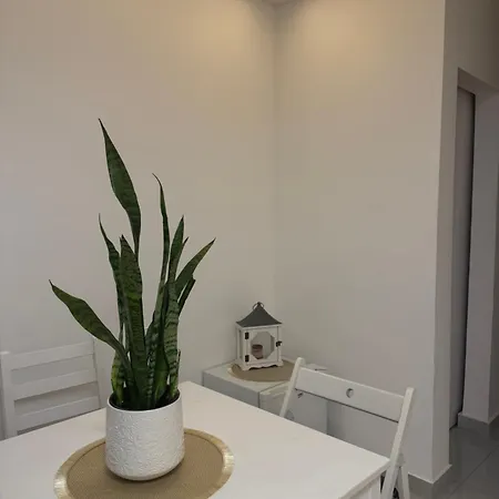 Apartman Alexandar13