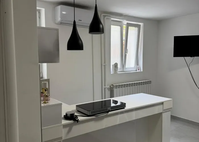 Alexandar13 Belgrado