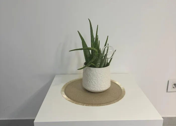 Alexandar13 Apartamento *