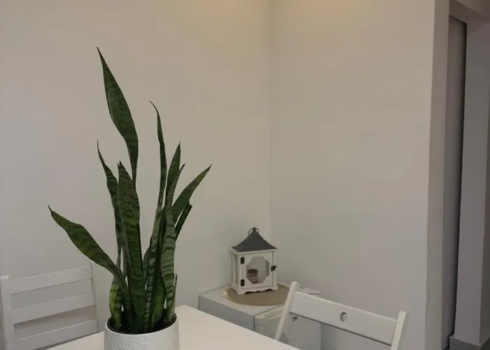 Apartamento Alexandar13